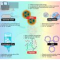 Could Moderna’s mRNA cancer vaccine help people suffering from melanoma?